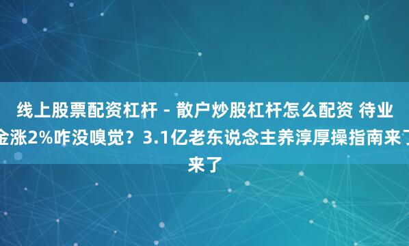 线上股票配资杠杆 - 散户炒股杠杆怎么配资 待业金涨2%咋没嗅觉？3.1亿老东说念主养淳厚操指南来了