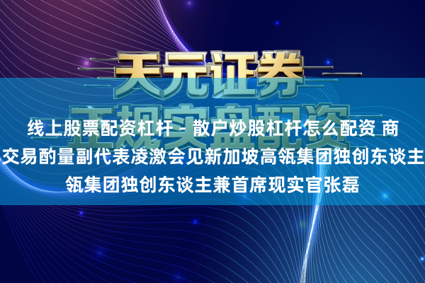线上股票配资杠杆 - 散户炒股杠杆怎么配资 商务部副部长兼外洋交易酌量副代表凌激会见新加坡高瓴集团独创东谈主兼首席现实官张磊