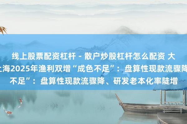 线上股票配资杠杆 - 散户炒股杠杆怎么配资 大跌超8%！盛好意思上海2025年渔利双增“成色不足”：盘算性现款流骤降、研发老本化率陡增