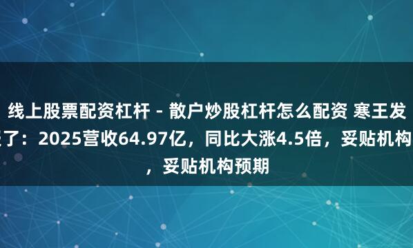 线上股票配资杠杆 - 散户炒股杠杆怎么配资 寒王发家报了：2025营收64.97亿，同比大涨4.5倍，妥贴机构预期