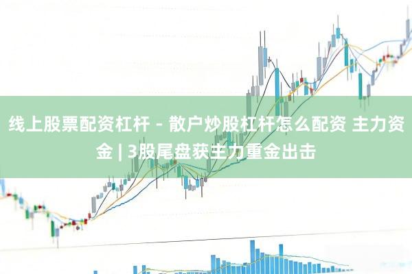 线上股票配资杠杆 - 散户炒股杠杆怎么配资 主力资金 | 3股尾盘获主力重金出击